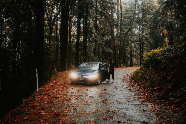 Eco-Friendly Car Care Solutions for Sustainable Drivers